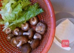 炒菇菇，生菜，煎白腐的做法图解1