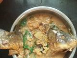 家常炖鲤鱼