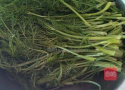 茴香肉丁发面饼的做法图解3