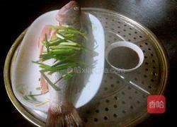 蒸鲈鱼的做法图解6