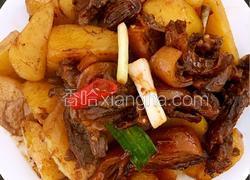 狗肉炆土豆