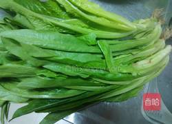 蒜蓉油麦菜的做法图解1