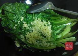 蒜蓉油麦菜的做法图解5