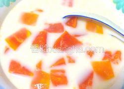 冰糖木瓜牛奶