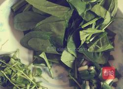 宝宝营养辅食（菠菜鲫鱼汤）的做法图解2
