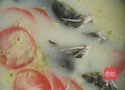 番茄鱼汤（无刺钢针鱼）的做法图解6