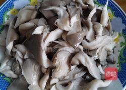 平菇炒肉的做法图解4