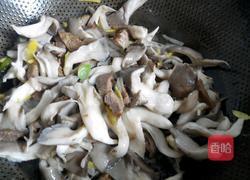 平菇炒肉的做法图解8