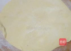 黄金酸菜包的做法图解8