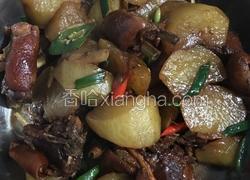 萝卜烧羊肉