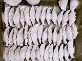 紫色饺子皮（紫甘蓝）自制饺子的做法[图]