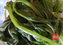 凉拌菠菜的做法图解3