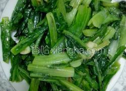 蒜蓉油麦菜