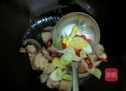 猪肉炖粉条（香辣味）的做法图解5