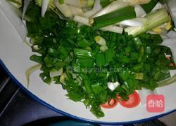 干锅土豆鸡的做法图解4