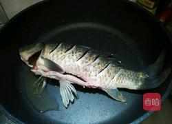 鲫鱼豆腐汤的做法图解2