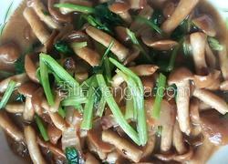 腊肉炒滑子菇