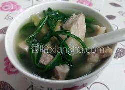苦麦菜猪肉汤