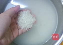 红枣枸杞排骨粥的做法图解2