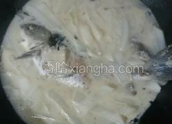 萝卜丝鲫鱼汤