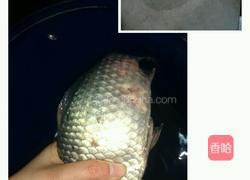 萝卜丝鲫鱼汤的做法图解1