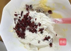 蔓越莓饼干的做法图解9