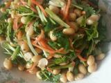 香菜胡萝卜拌黄豆