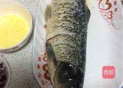 炝锅鱼的做法图解3
