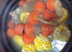 龙骨玉米红萝卜汤