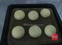 乳酪面包的做法图解12