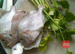 香煎鱼的做法图解1