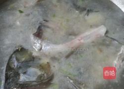 自制鱼头汤的做法图解5