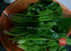 凉拌菠菜的做法图解1