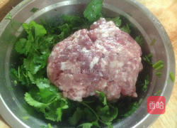 香菜饺子的做法图解5