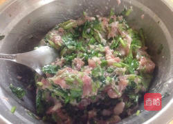香菜饺子的做法图解7