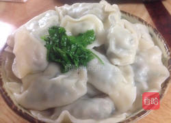 香菜饺子的做法图解14
