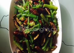 干煸茧蛹