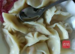 宝宝主食胡罗卜肉馅水饺的做法图解6