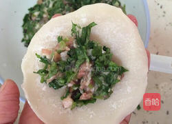 金汤香菜饺的做法图解7