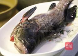 清蒸芝麻斑的做法图解1