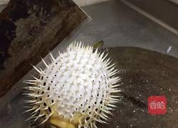 姜茸焖鸡甫鱼的做法图解1