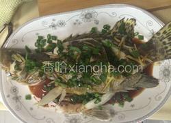 清蒸桂花鱼