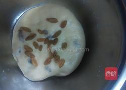 葡萄司康(发酵版)的做法图解15