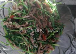 香辣肉丝