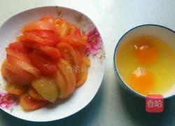 番茄炒鸡蛋的做法图解4