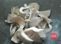 平菇炒黄瓜的做法图解7