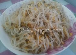 炝炒绿豆芽
