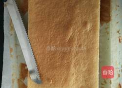 奶油蛋糕卷的做法图解10