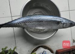 鲅鱼饺子的做法图解1