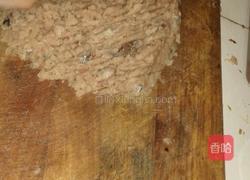 鲅鱼饺子的做法图解2